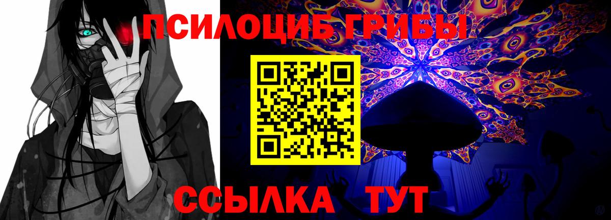 Галлюциногенные грибы Psilocybe Волжский