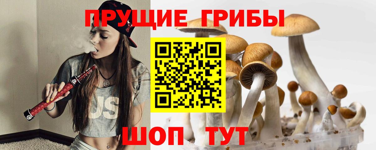 Псилоцибиновые грибы мицелий  где продают   Волжский  Вход с VPN 